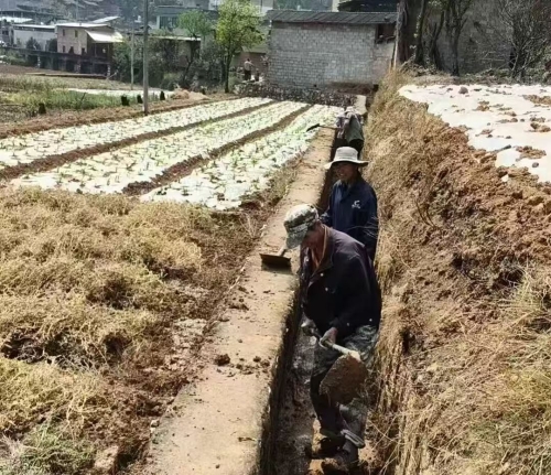 微信图片_20260401101908_590_25