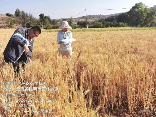 微信图片_20260401101913_591_25