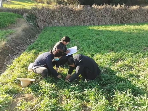 微信图片_20260401101916_592_25