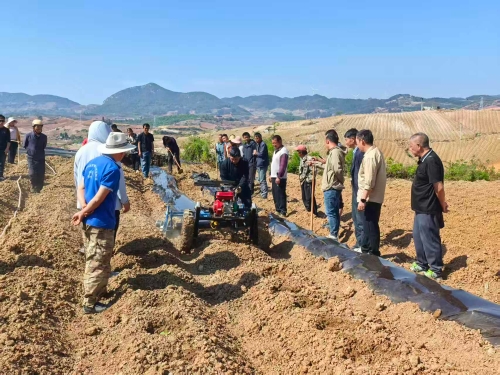 微信图片_20260403105138_617_25