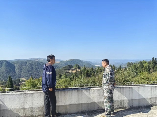 8154ddeb8be09fdf4d39d7a9481238ae