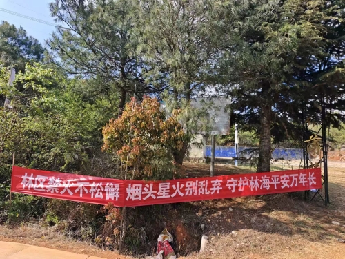 32883f6989c94a54da310ee50e4fc15f