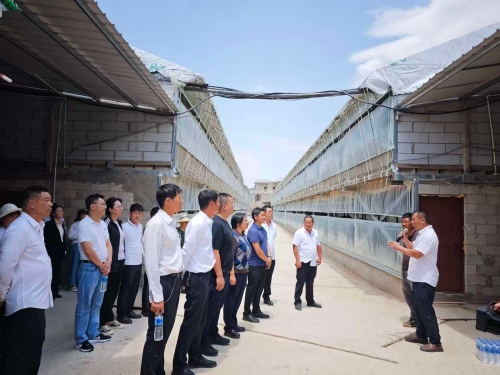 微信图片_20260423121250_489_264