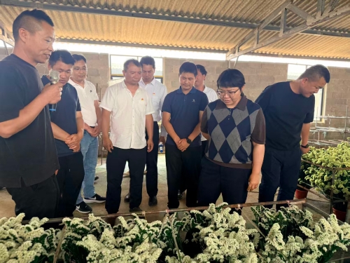 微信图片_20260423114702_473_264