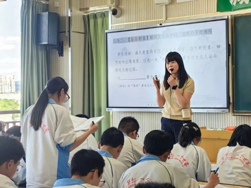 图片4