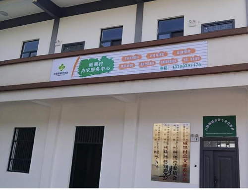 图片7