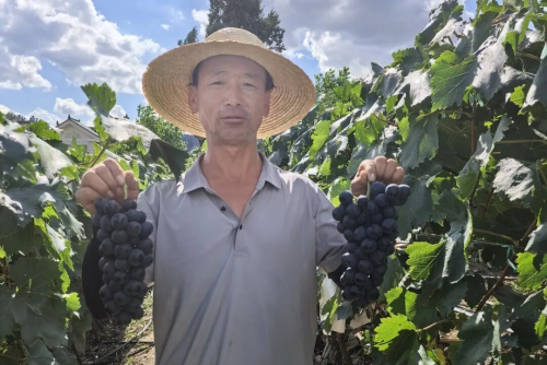 图片7