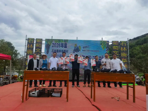 图片9