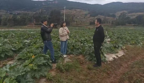 微信图片_20260618141805_1152_25