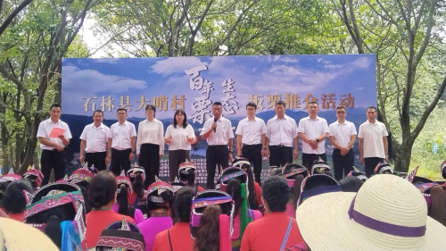 图片12