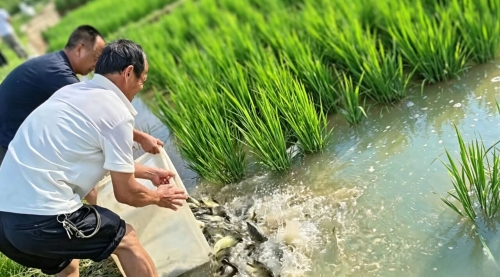 微信图片_2026-09-02_093030_569 微信图片_2026-09-02_093030_569